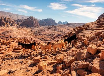 jordan/wadi-araba/landmark/al-habis