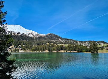 switzerland/lenzerheide/landmark/eichhornchenwald