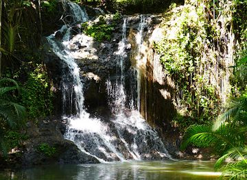 saint-lucia/castries-quarter/landmark/latille-falls-and-garden