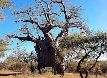 south-africa/bushveld/landmark/blouberg-nature-reserve