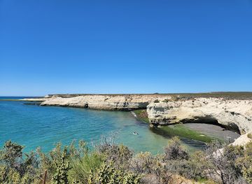 argentina/puerto-madryn/landmark/reserva-loberia-de-punta-loma