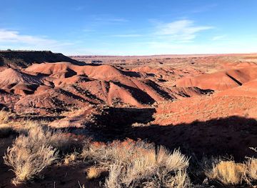 arizona/petrified-forest-national-park/landmark/tiponi-point