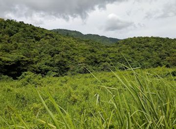 jamaica/santa-cruz-mountains/landmark/bluefields-beach