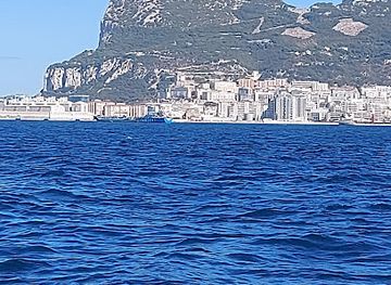 gibraltar/catalan-bay/landmark/dolphin-adventure