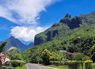 french-polynesia/moorea/landmark/manutea-tahiti-rotui-juice-factory-distillery