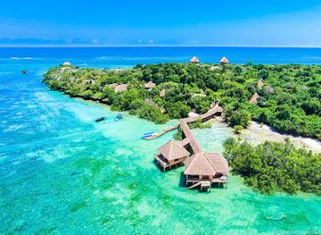 kenya/diani-beach/landmark/natural-world-kenya-safaris-diani