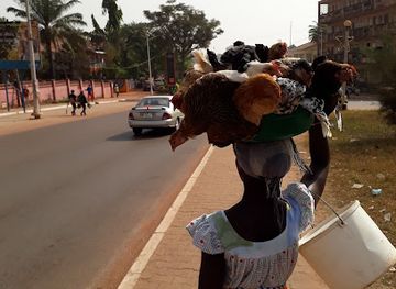 guinea-bissau/bafata-region/landmark/geba-river