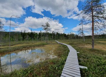 finland/pyha-luosto-national-park/landmark/pyhatunturi