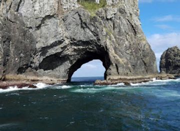 new-zealand/northland/landmark/cruise-to-the-hole-in-the-rock