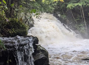 massachusetts/berkshires/landmark/wahconah-falls-state-park