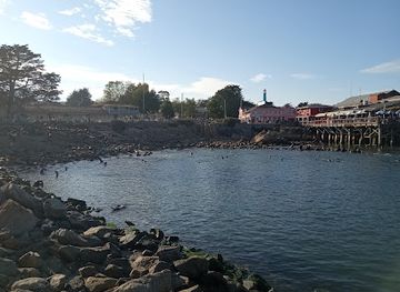 california/monterey/old-fisherman-s-wharf/landmark/monterey-sea-lions