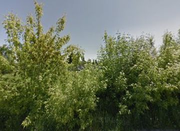 ukraine/ivano-frankivsk/landmark/monument