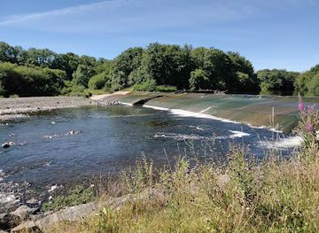 united-kingdom/peeblesshire/landmark/philiphaugh-salmon-viewing-centre-golden-eagle-eyrie