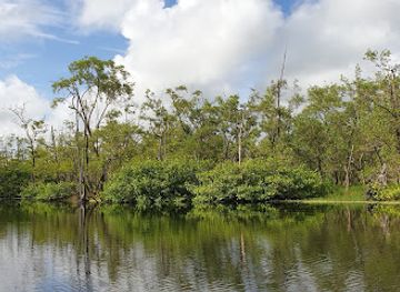 suriname/tafelberg-nature-reserve/landmark/bigi-pan