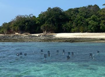 panama/pearl-islands/landmark/coral-dreams