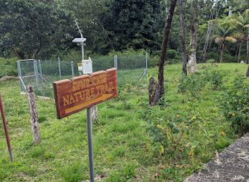 dominica/indian-river/landmark/syndicate-nature-trail