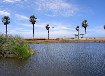 portugal/figueira-da-foz/landmark/fort-of-palheiros