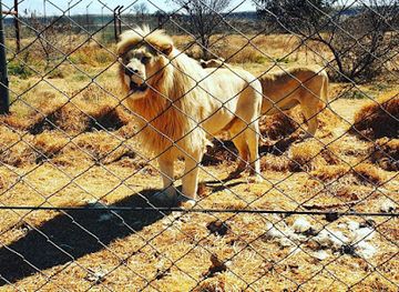south-africa/free-state/landmark/bagamoya-wildlife-estate