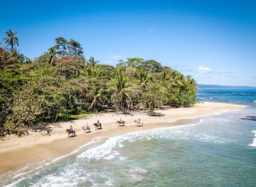 costa-rica/caribbean-coast/landmark/caribe-horse-riding-club