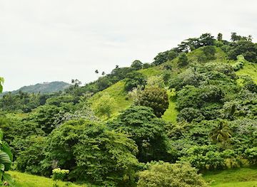 dominican-republic/sierra-de-neiba/landmark/cordillera-central