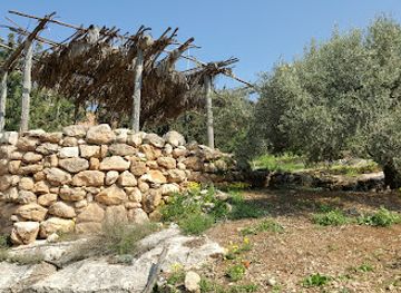 israel/galilee/landmark/nazareth-village