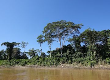 bolivia/amazon-basin/landmark/rio-madre-de-dios