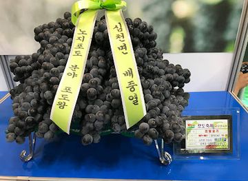 south-korea/yeongseo-region/landmark/yeongdong-grape-festival