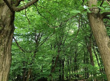 bosnia-and-herzegovina/podrinje/landmark/bosnian-pyramid-of-the-dragon