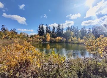 canada/parkland-region/landmark/black-creek-parkland