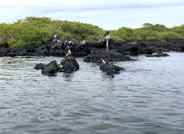ecuador/western-lowlands/landmark/galapaguera-de-cerro-colorado
