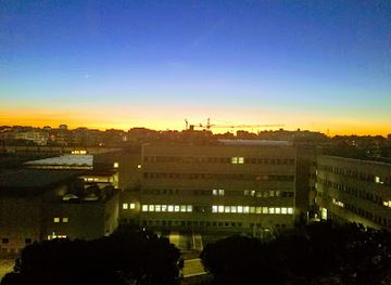 italy/bari/landmark/museum-of-earth-sciences
