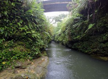 vanuatu/sanma/landmark/santo-heritage-tours