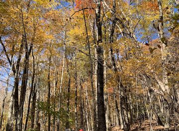 north-carolina/boone/landmark/boone-united-trail