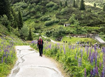 netherlands/betuwe/landmark/naturescanner-nl