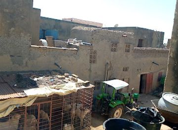 mali/mopti/landmark/barema-bocoum-mopti-starium