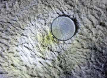 california/turlock/landmark/ldh-coins