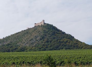 czechia/palava/landmark/pavlov-archaeological-park