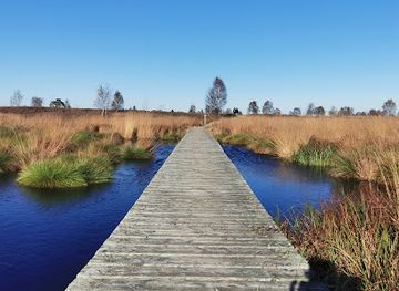 belgium/hautes-fagnes/landmark/high-fens