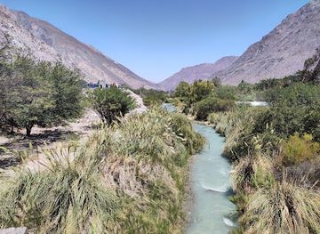 chile/norte-chico/landmark/elqui-river