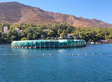turkiye/marmaris/icmeler/landmark/dolphin-park