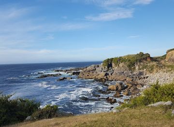 chile/valdivia/landmark/valdivian-coastal-reserve