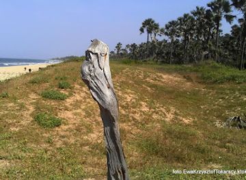 the-gambia/niamina-dankunku/landmark/bijilo-national-park