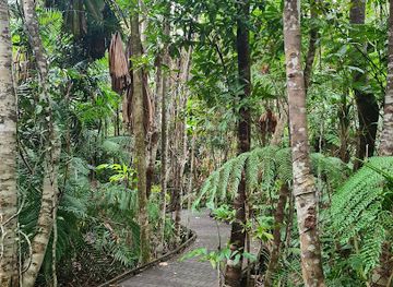 australia/daintree-rainforest/landmark/dubuji-boardwalk