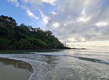 australia/cape-tribulation/landmark/noah-beach-camping-area-daintree-national-park