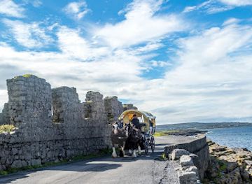 ireland/aran-islands/landmark/thomas-faherty-tours