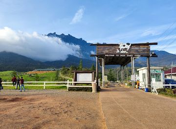 malaysia/east-malaysia/landmark/ladang-tenusu-desa-cattle