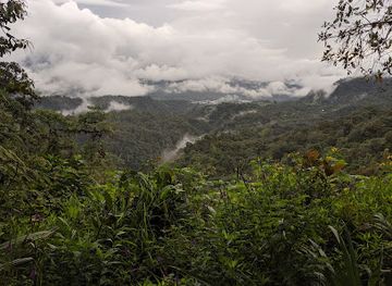 ecuador/mindo-cloud-forest/landmark/san-tadeo-birding