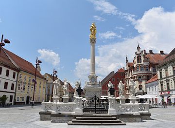slovenia/southeast-slovenia/landmark/plague-column