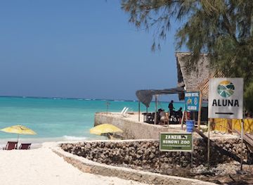 tanzania/zanzibar-city/nungwi/landmark/nungwi-marine-turtles-mnarani