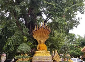 laos/central-laos/landmark/cope-visitor-centre